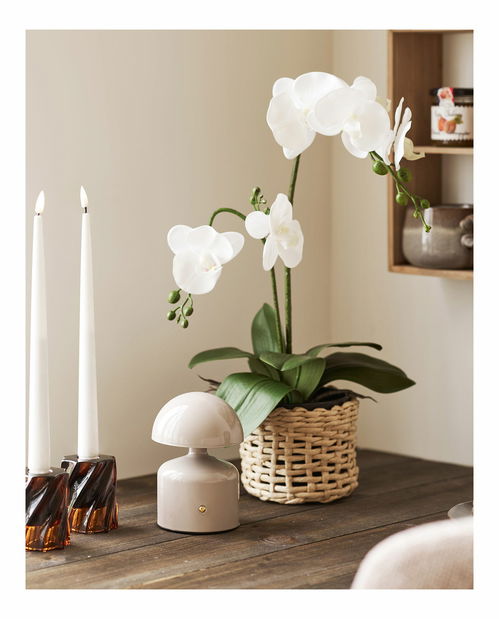 Stolová lampa Asinora (sivá)