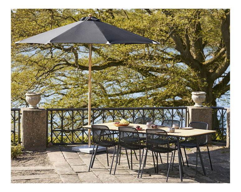 Slnečník Aorteria (čierna)