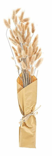 Kytica sušených kvetov Sixta (prírodná) 