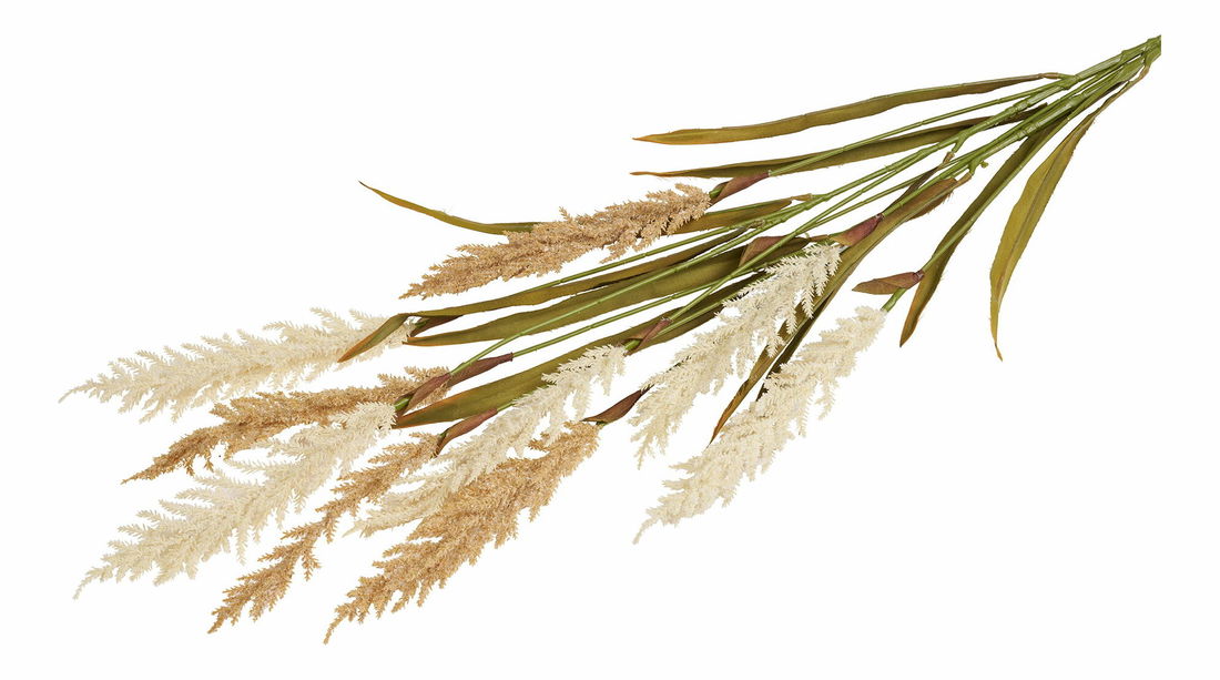 Dekorativna trava Dnaveriaora (bež + pijesak)