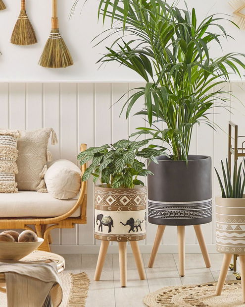 Saksija Kotru (crna + bijela)