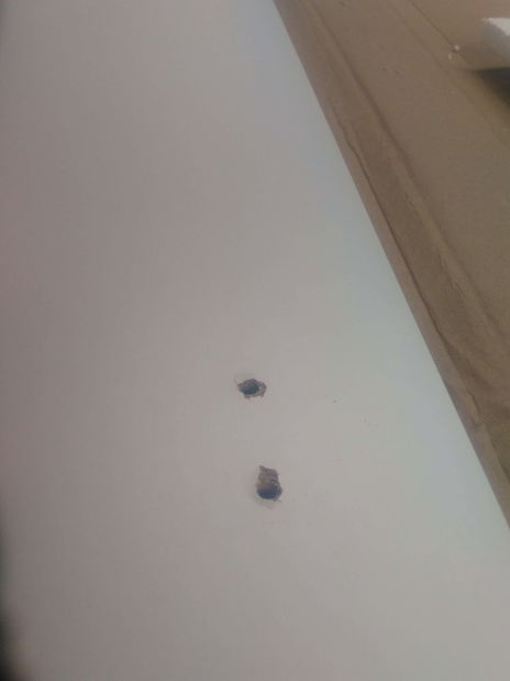 Hol Mila (alb) *resigilat