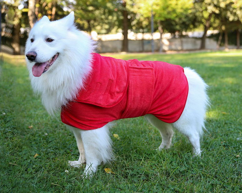 Oblečenie pre psa Drego 8 (červená)