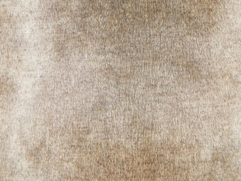 Sada 2 ozdobných vankúšov 45 x 45 cm Horde (hnedá)