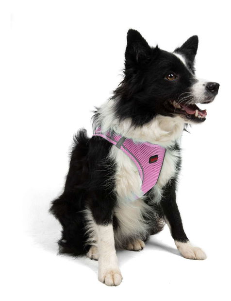 Postroj pre psa Airy (ružová) (S)