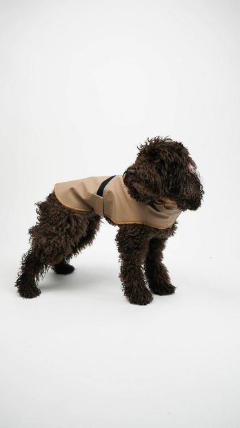 Bunda pre psa Shotly (béžová) (M)