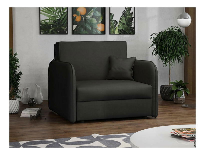 Rozkladacie kreslo Carivia Loft I (Mono 248) (s úl. priestorom)