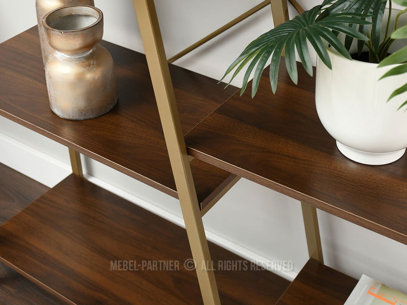 Regal Gecon Reg (orah + zlatna)