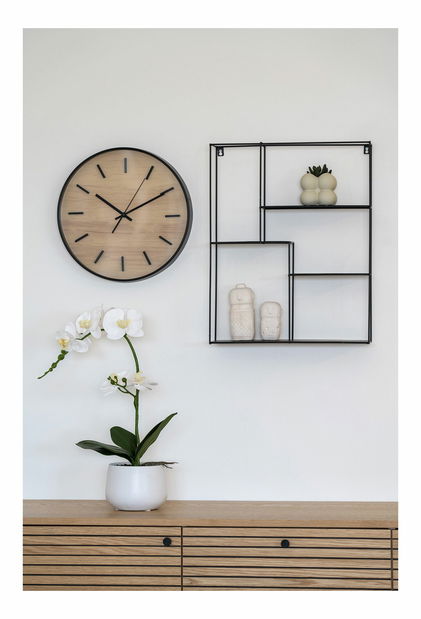 Orchidea Odelia (zelená + biela)