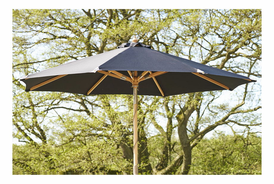 Slnečník Aorteria (čierna)