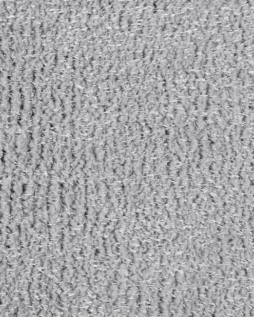 Covor 300x200cm Damte (gri deschis)