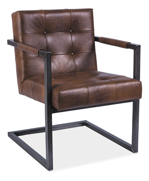 Fotoliu de relaxare Solid