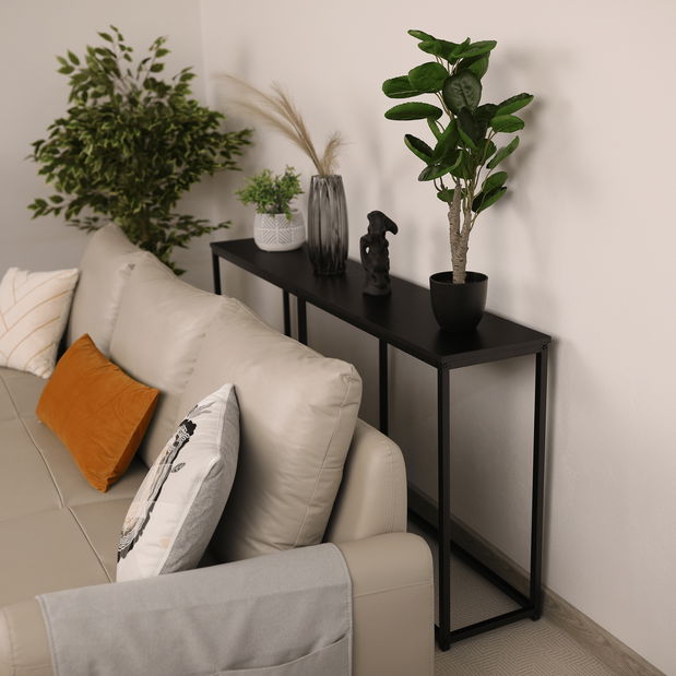 Konzolni stolić Burnet (tamnosiva grafit + crna)