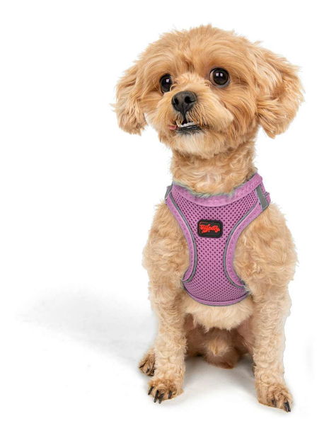 Postroj pre psa Airy (ružová) (2XS) 1