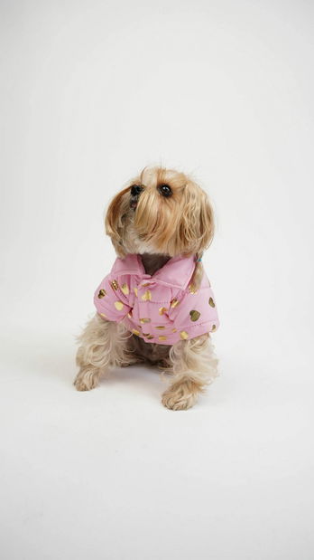 Bunda pre psa Amora (ružová) (XL)