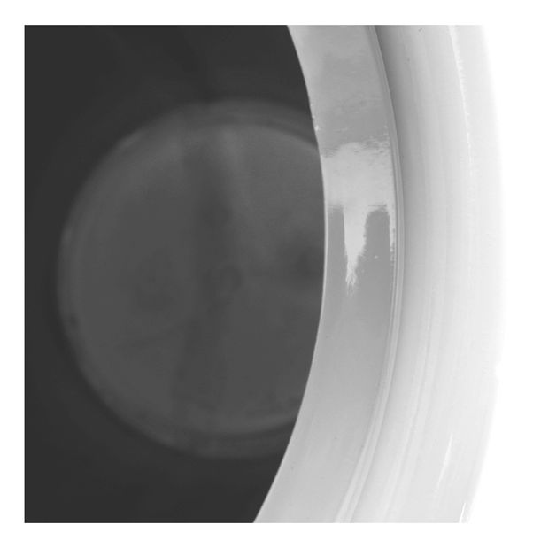 Zsámoly Dakota (fehér)