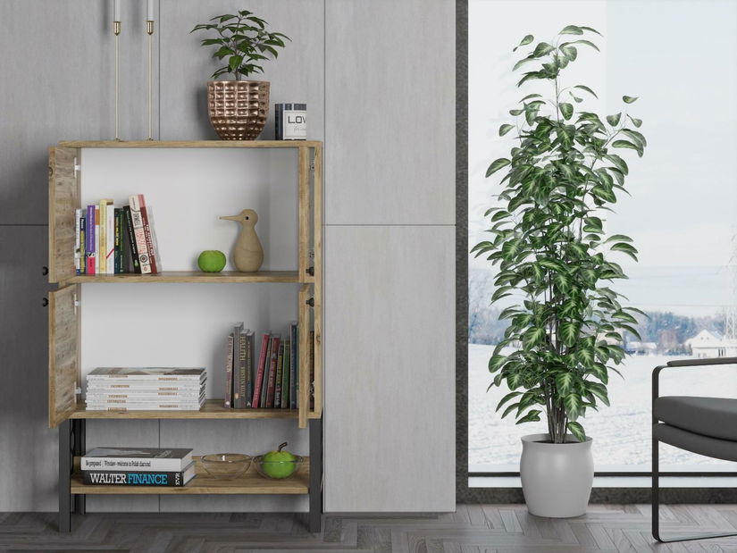 Skrinka Franc 19 (borovica atlantická)