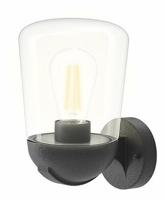 Vonkajšie nástenné svietidlo Mizil (priehľadná + matná čierna)