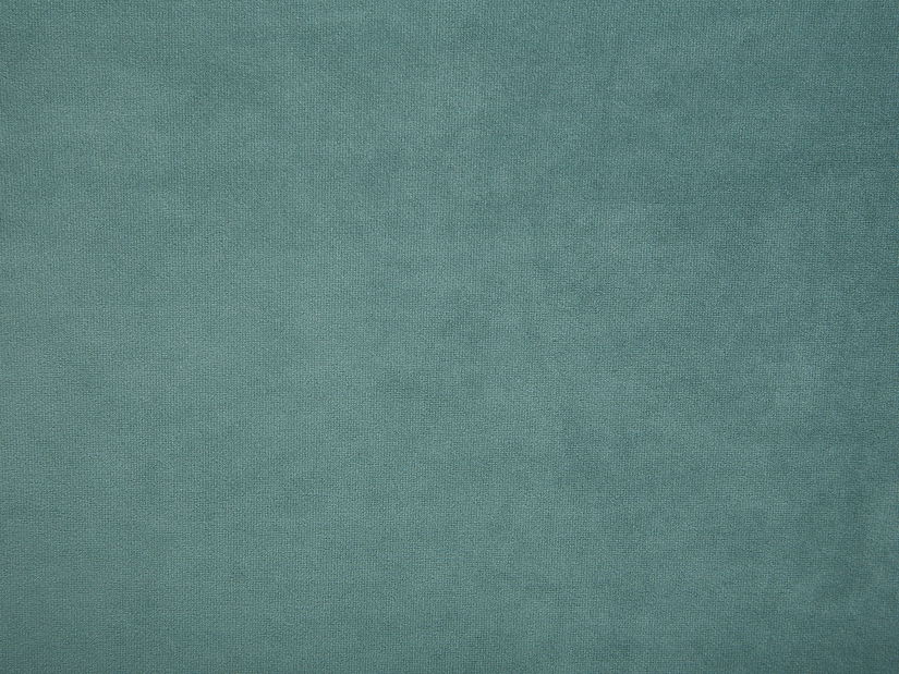 Leňoška Nili (mätová) (P)