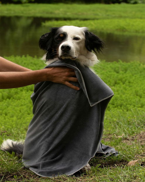 Uterák pre psa Mickoe (sivá)