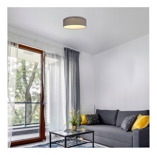 Stropné svietidlo Olgit (sivá)