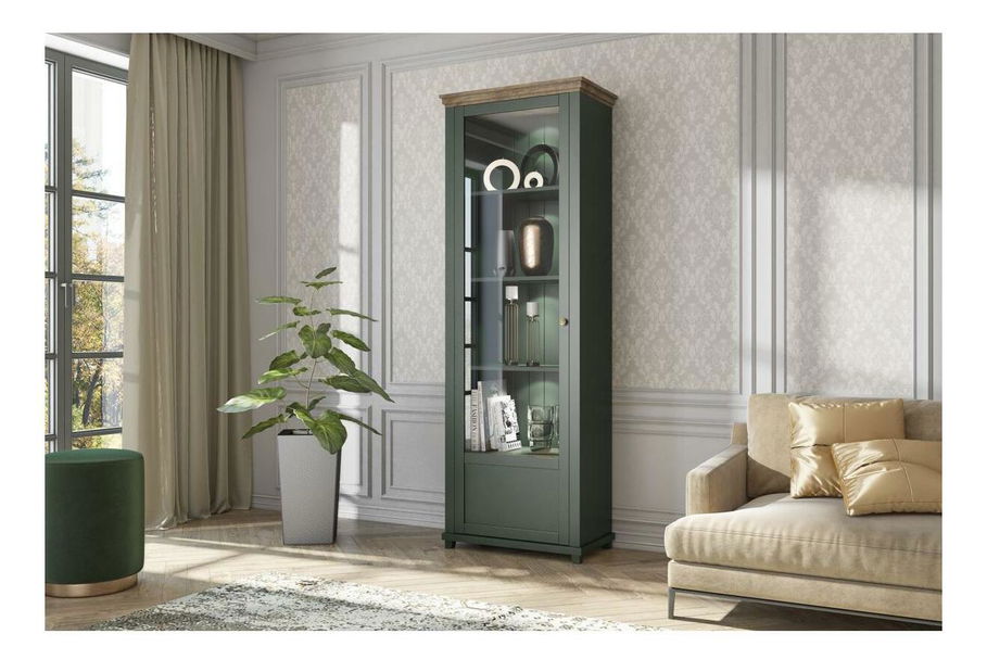 Vitrina Elvina Typ 05 (tamnozelena + hrast lefkas) (L)