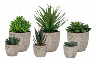 Decorațiuni florale Sindina (verde)