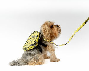 Postroj pre psa Lenny (žltá)
