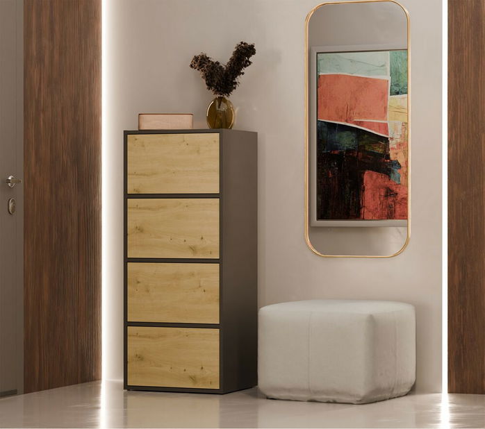 Skrinka Afoctera 1 (antracit + dub artisan)