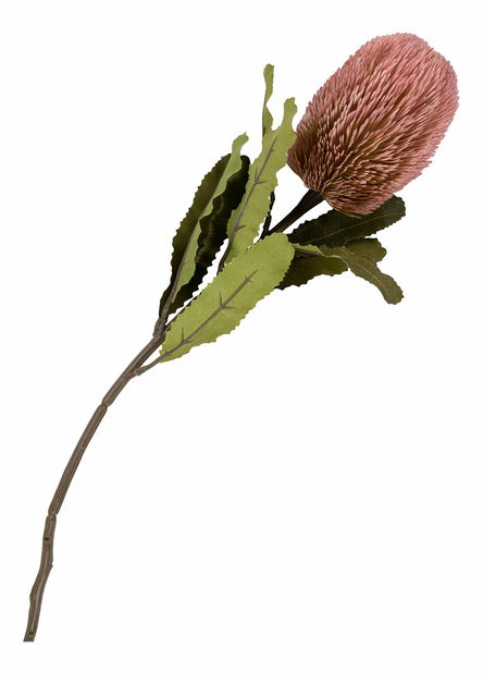 Kytica Koravina 2 (ružová)