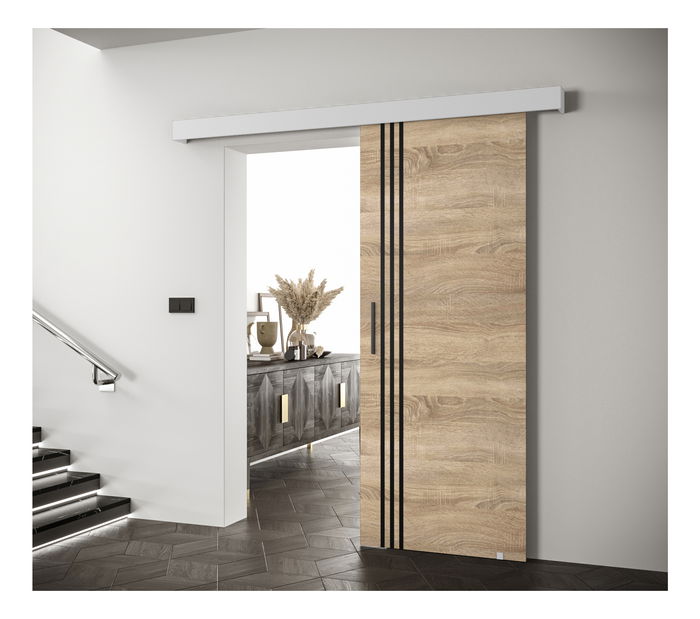 Posuvné dvere 90 cm Sharlene VI (dub sonoma + biela matná + čierna)