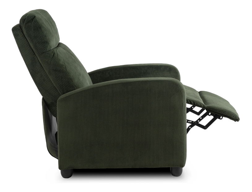 Fotoliu reglabil Dominaba (verde închis) 