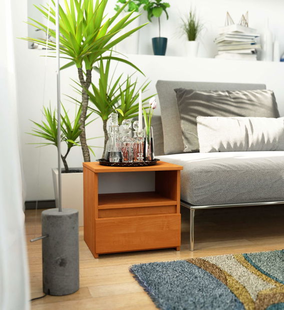 Noptieră Crispian (arin)