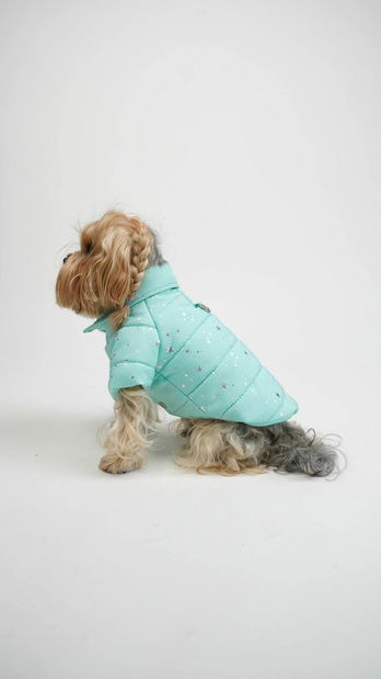 Bunda pre psa Angela (modrá) (L)