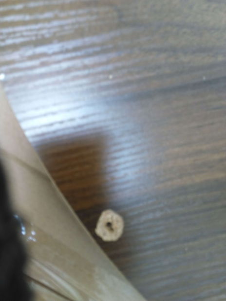 Măsuță cafea Klara (nuc + auriu) *resigilat