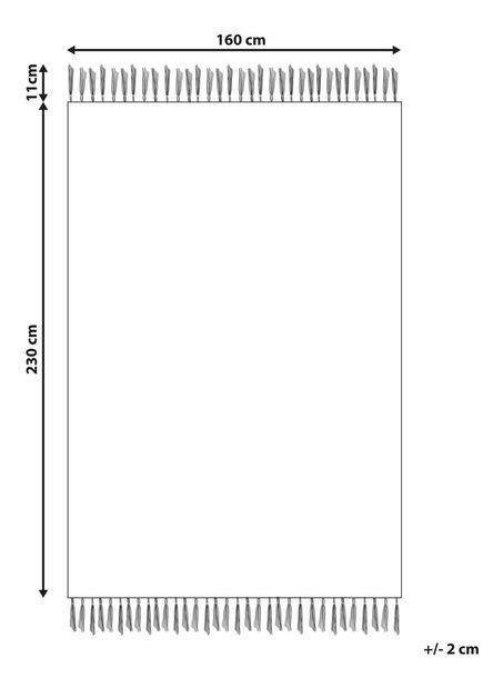Koberec 160 x 230 cm Ferre (viacfarebná)