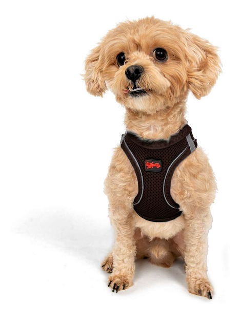 Postroj pre psa Airy (hnedá) (L)