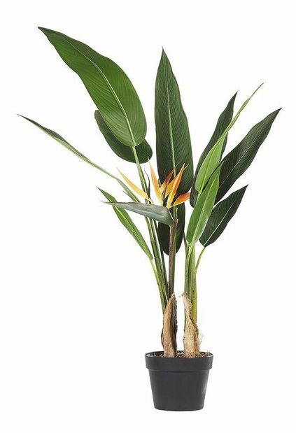 Umelá rastlina 115 cm SARIZA