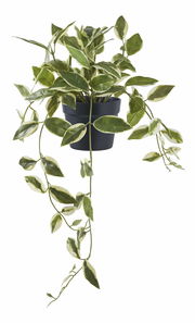 Plantă artificială Hdoloria (verde)