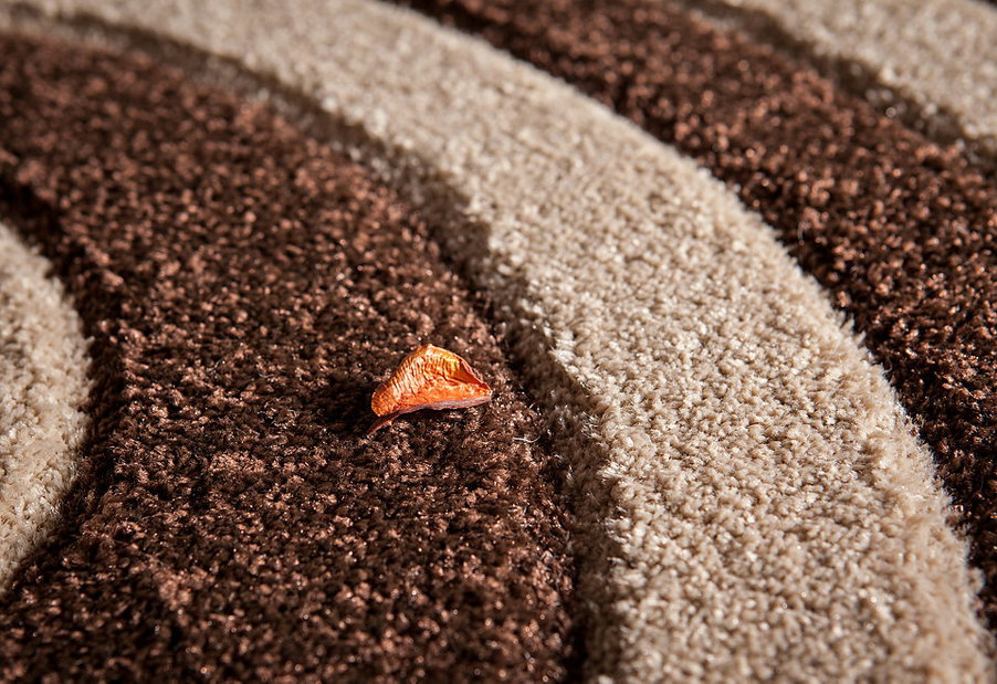 Kusový koberec Havanna Handcarving 412 Mocca