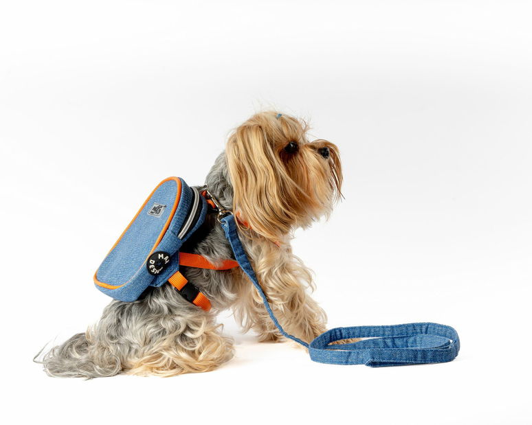 Postroj pre psa Lenny (modrá)