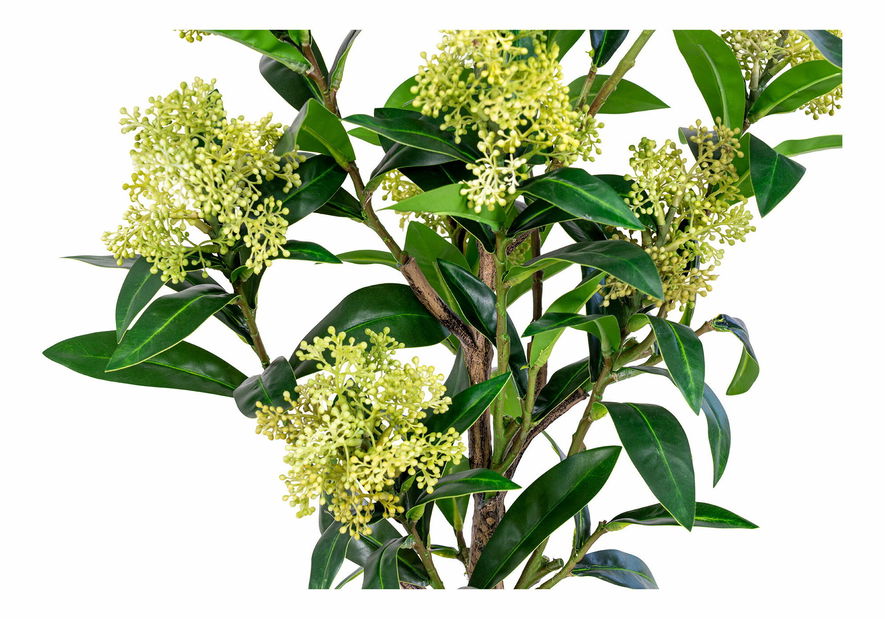 Strom Stalina (zelená)