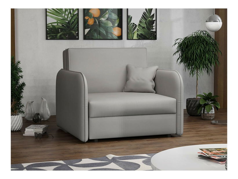 Rozkladacie kreslo Carivia Loft I (Mono 244) (s úl. priestorom)