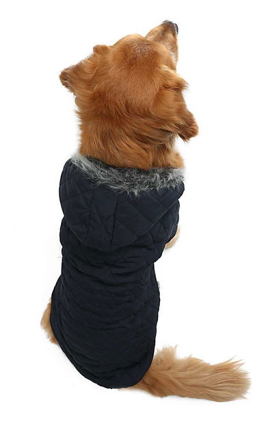 Bunda pre psa Naviana (modrá) (9XL)