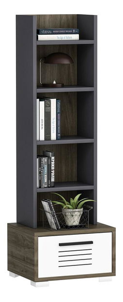 Regál Nanide (dió + fehér + antracit)