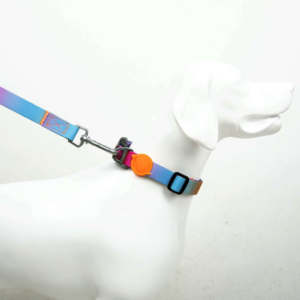 Obojok pre psa Pasta (viacfarebné) (XS)