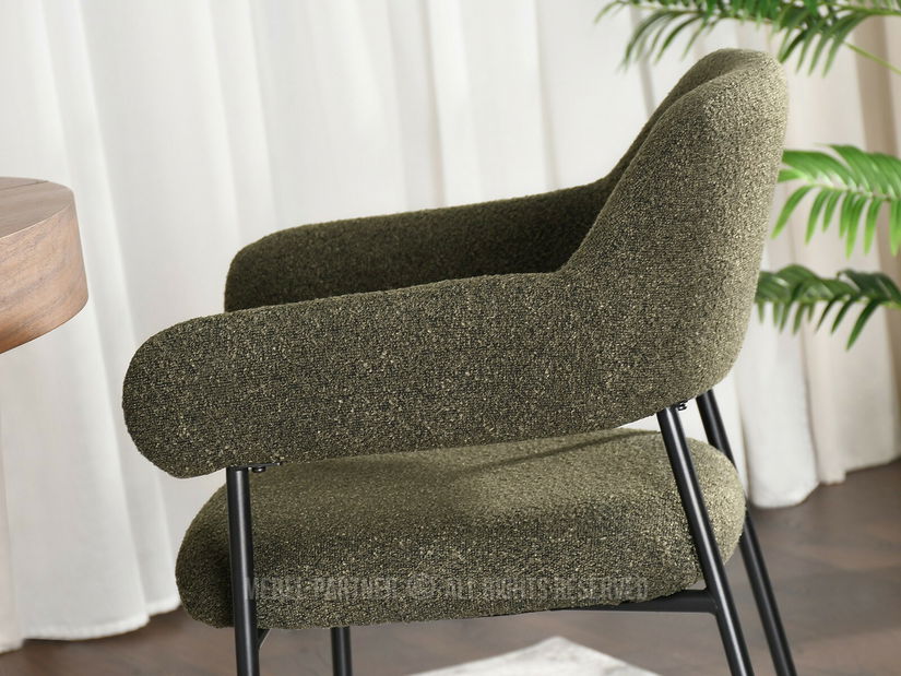 Scaun sufragerie Exigente (verde + negru)