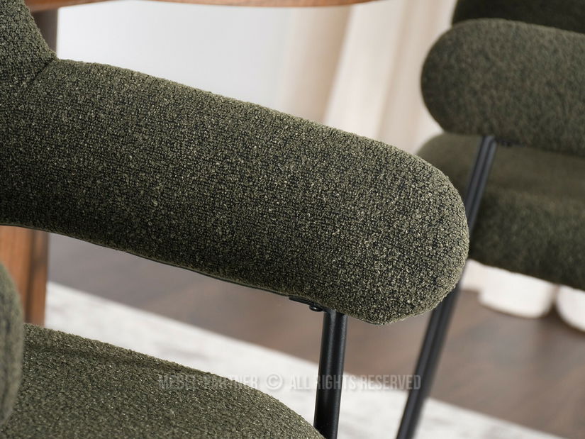 Scaun sufragerie Exigente (verde + negru)