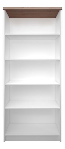 Regal Timmy Tip 06 80 