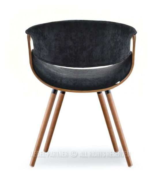 Stolica Bjorn K (tamni orah + orah)